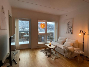 Moderne toppetasjeleilighet Tromsø